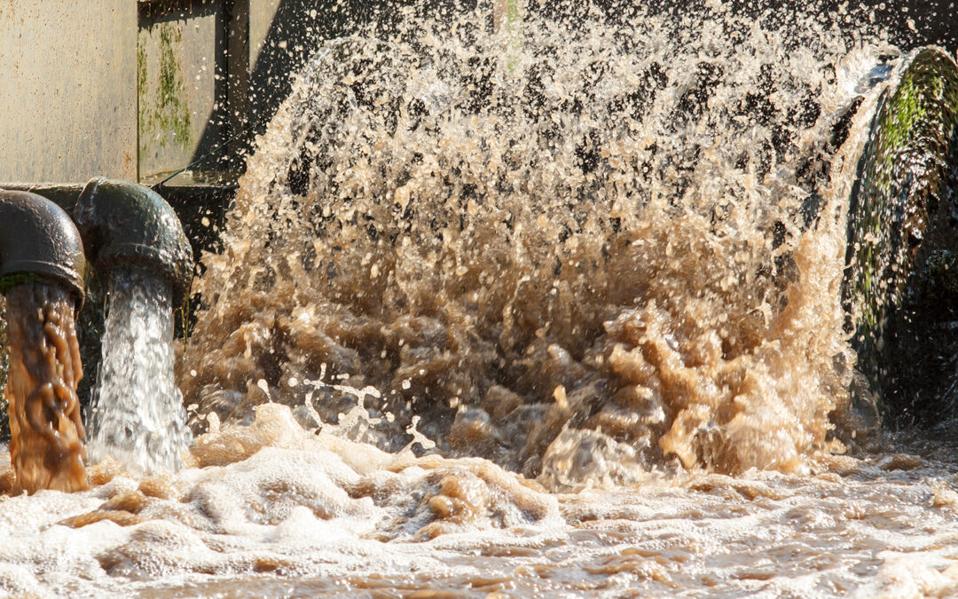 Qu’est-ce qu’une eau turbide et comment s’en débarrasser ?